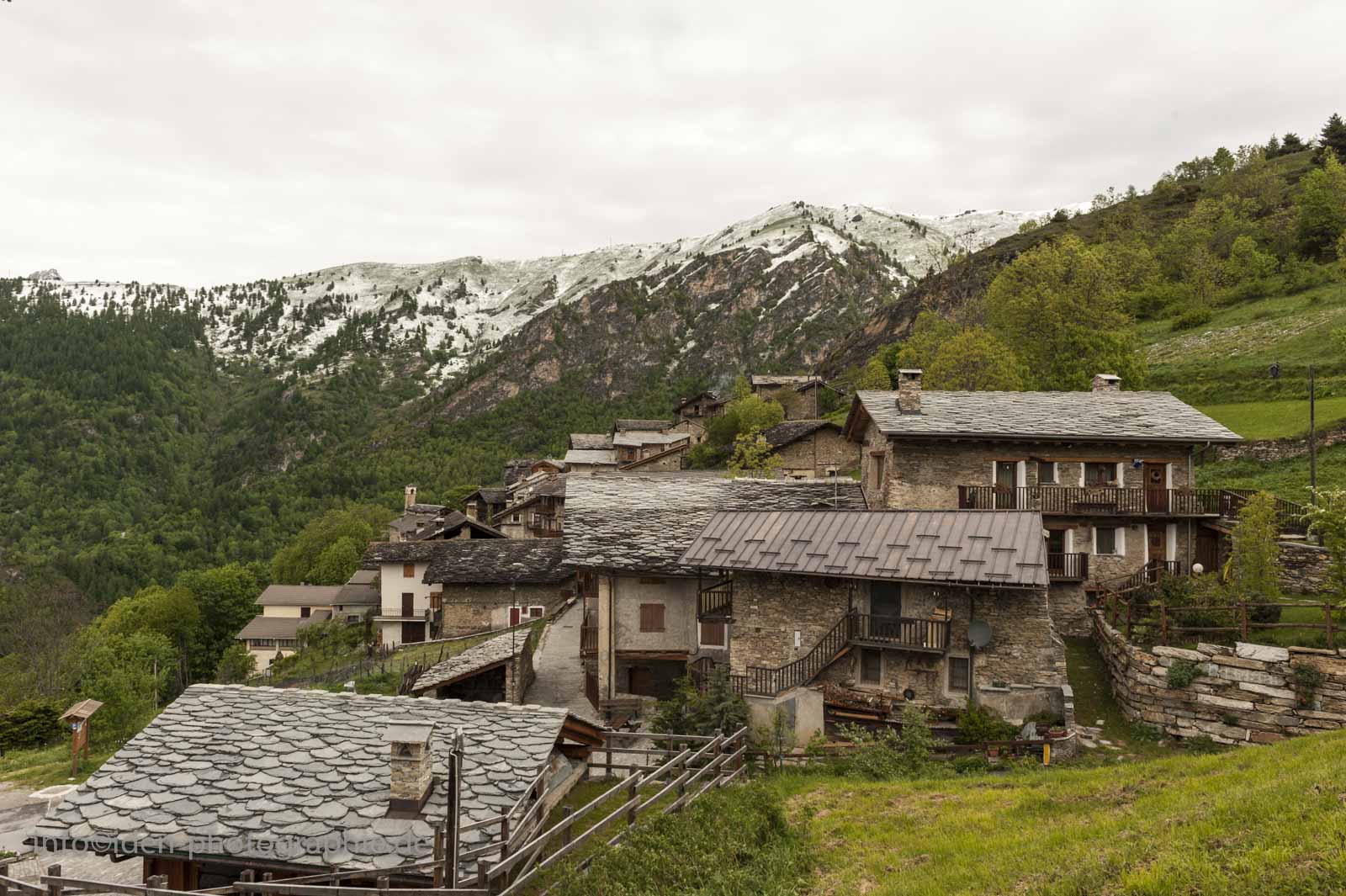morinesio-4.jpg