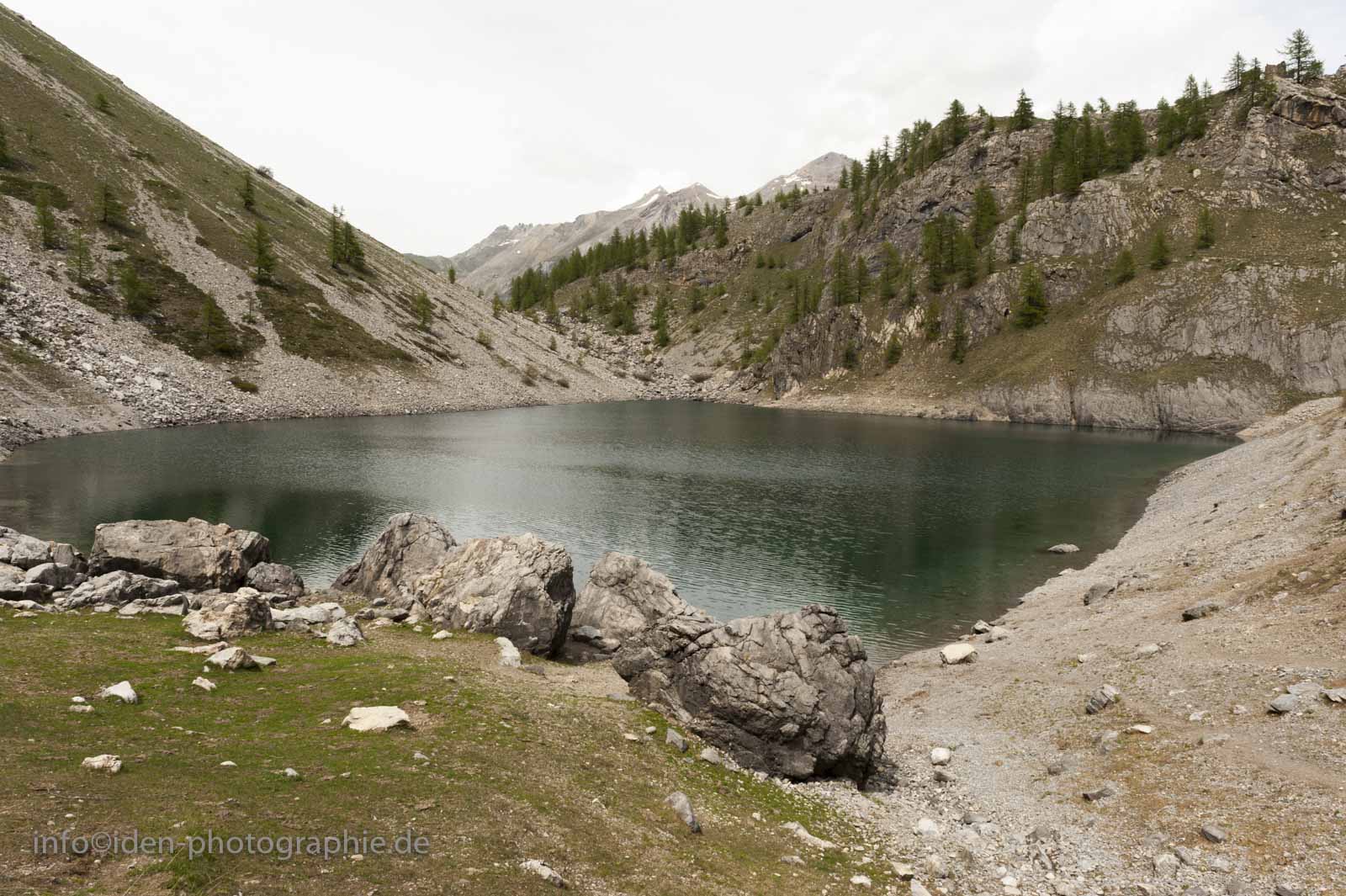 morinesio-26.jpg