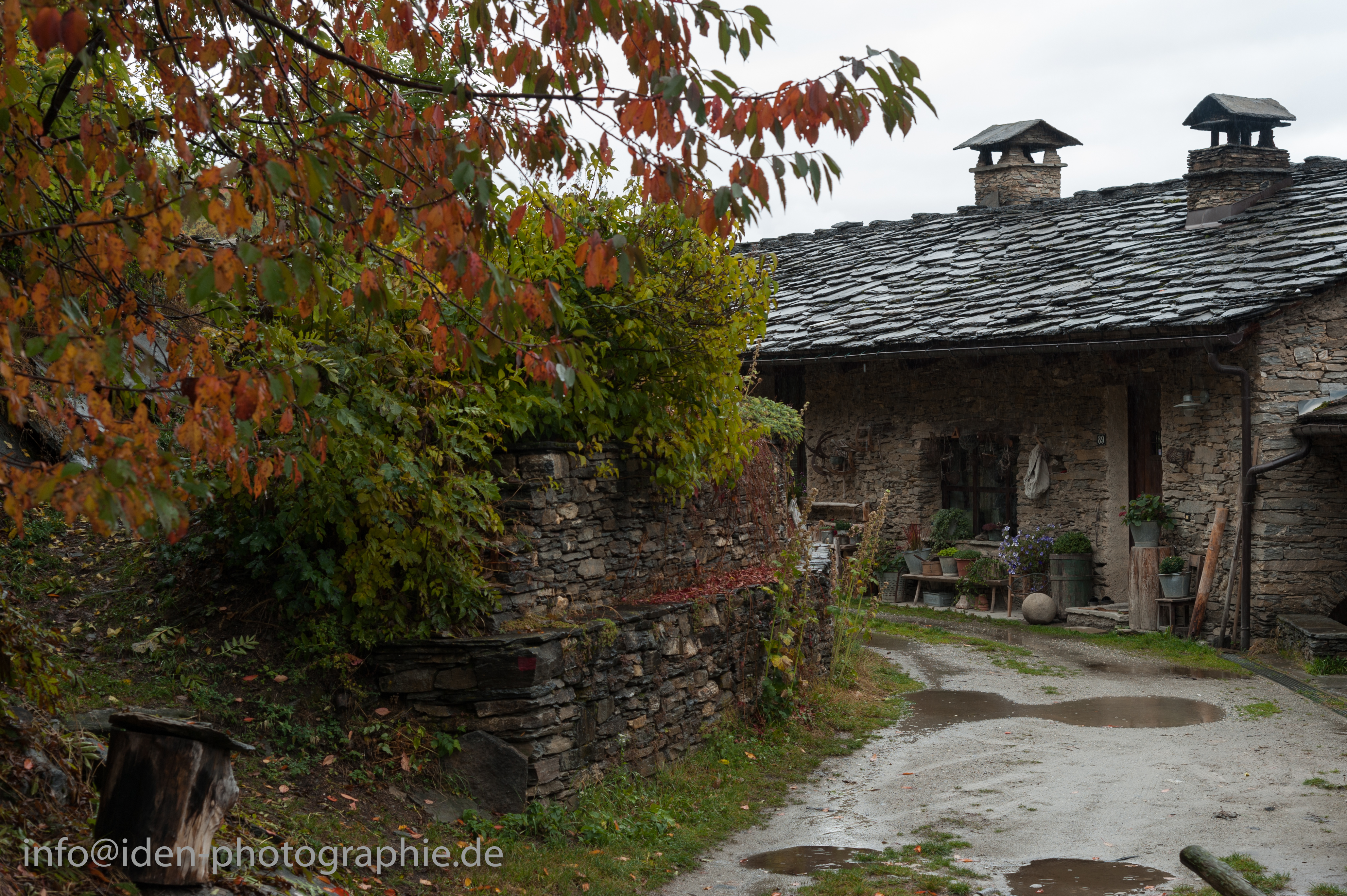 cip0963.jpg